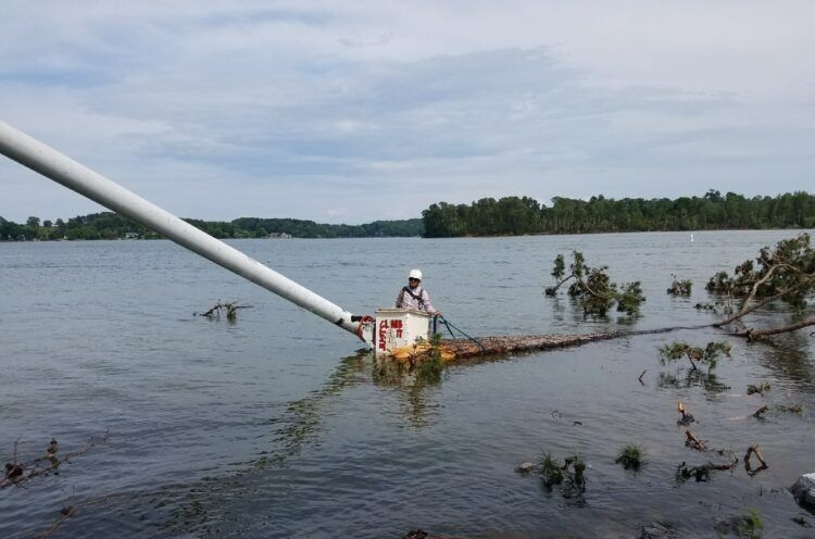 Mencer's Tree Service gallery 9